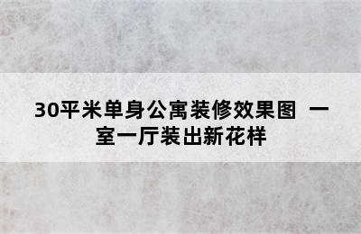 30平米单身公寓装修效果图  一室一厅装出新花样